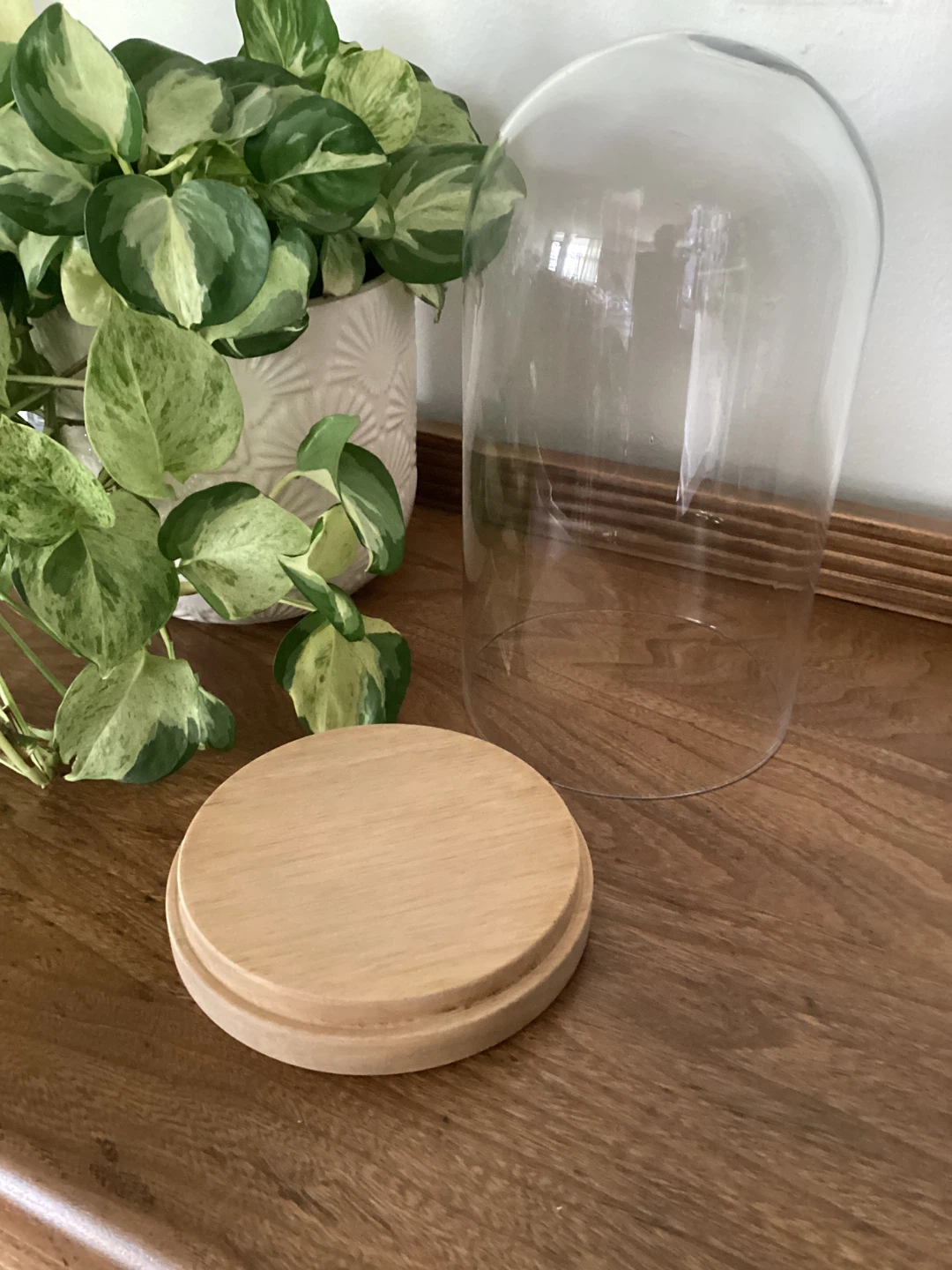 Glass Cloche with Wood Base - photo 2