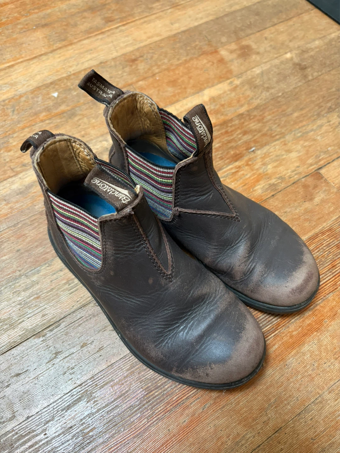Kids Blundstone Brown Leather Chelsea Boots
