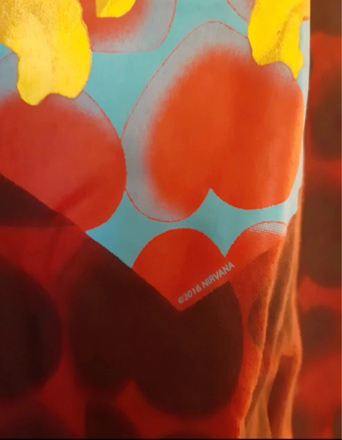 Nirvana Heart Shaped Box shirt - photo 3