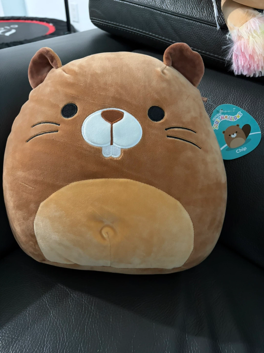 Squishmallows Chip the Beaver 12” Plush - NWT
