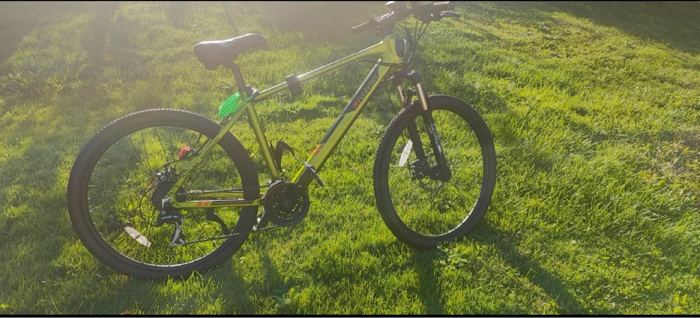 BYA Electric Bike - photo 4