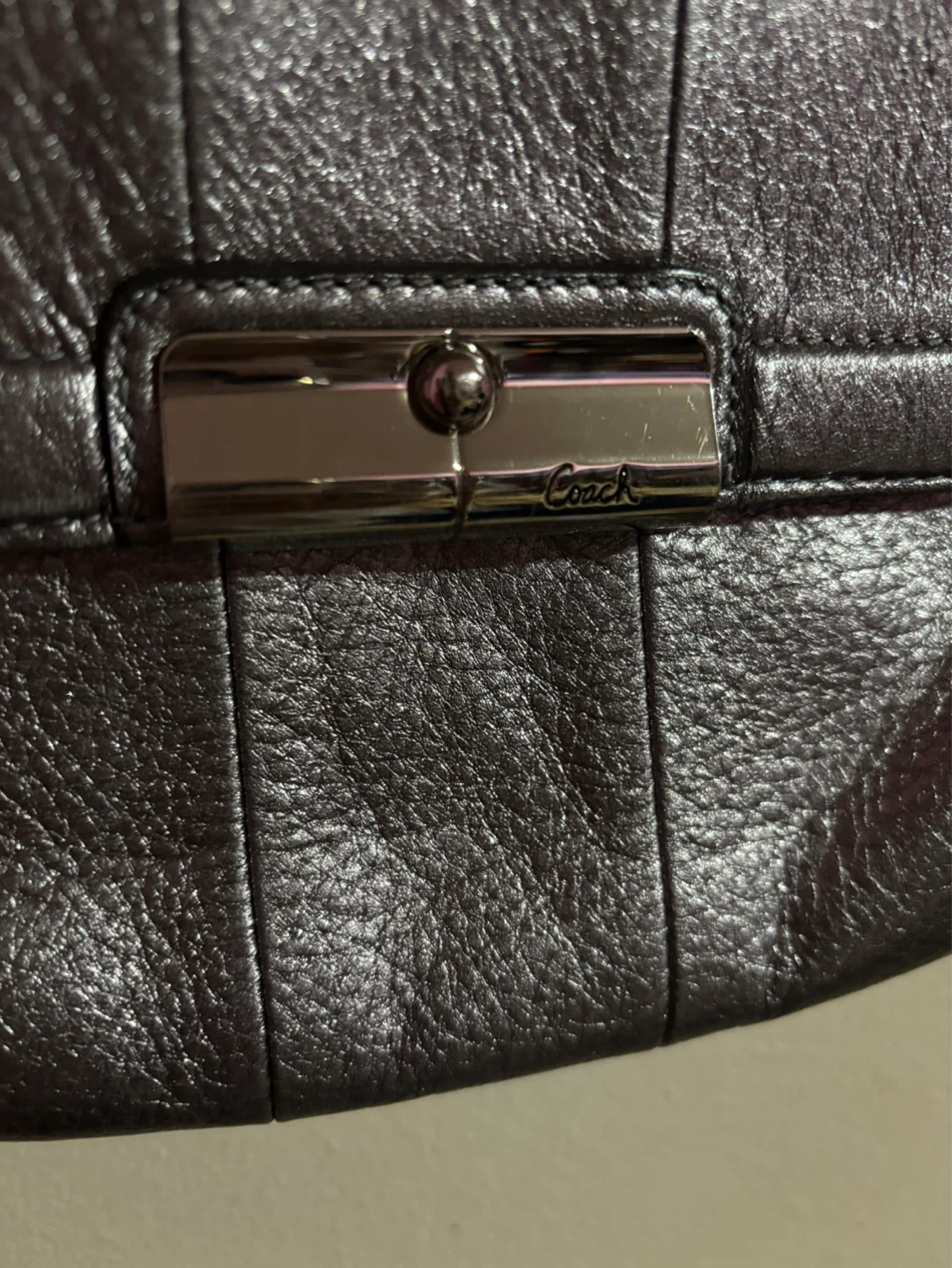 Coach Leather Crossbody Bag - Metallic Pewter