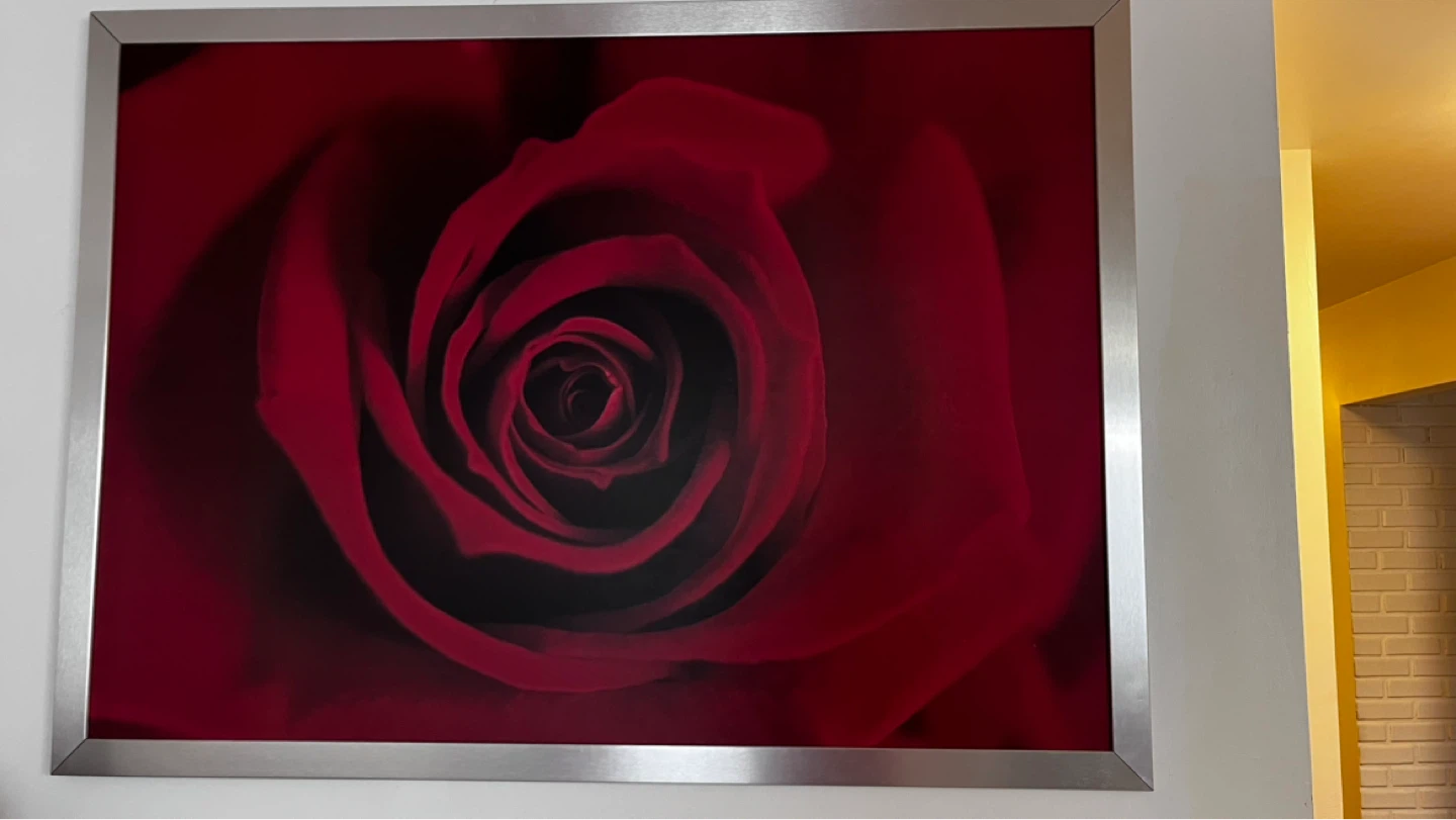 Framed Red Rose Wall Art