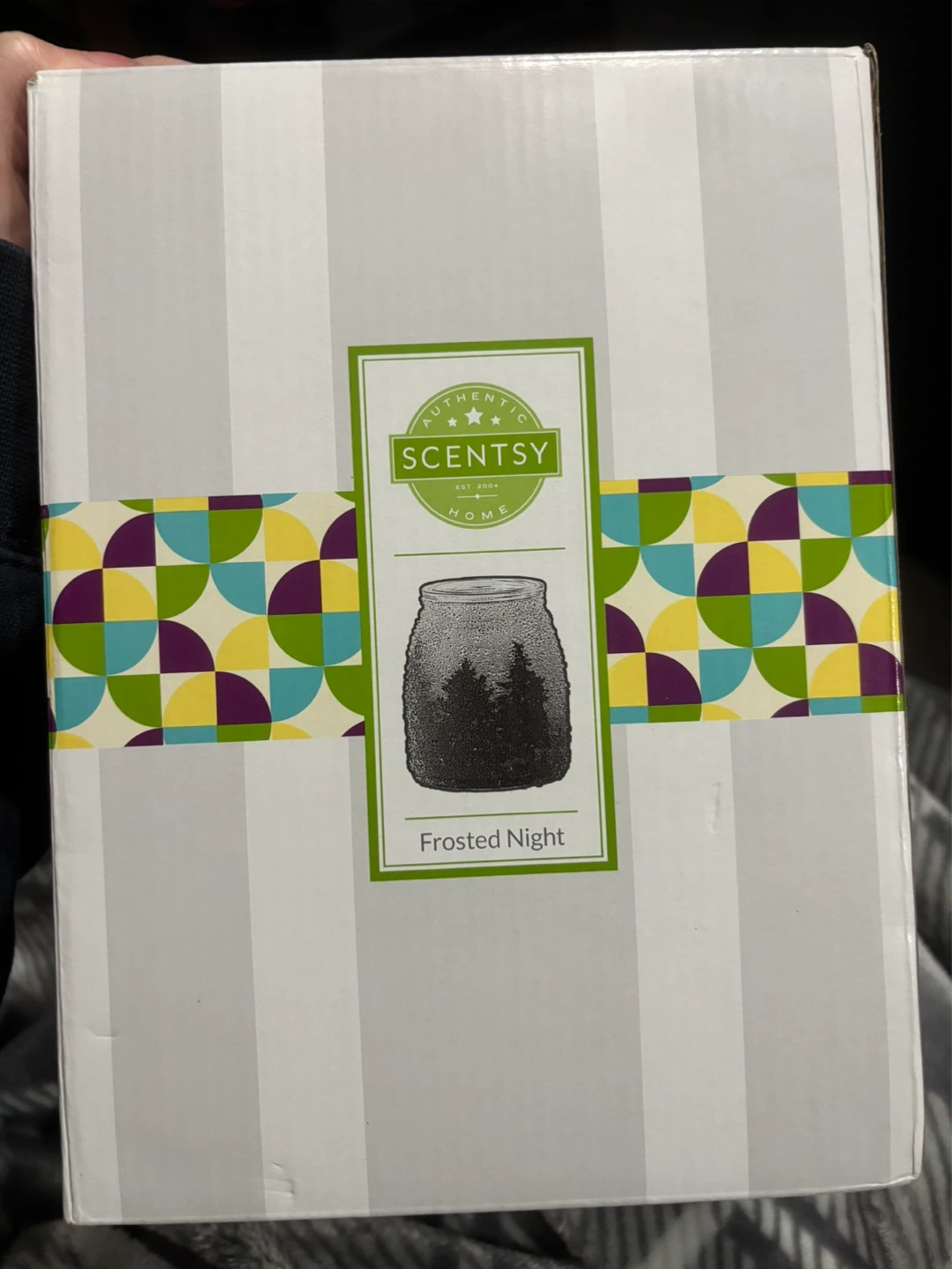 Scentsy Frosted Night Warmer