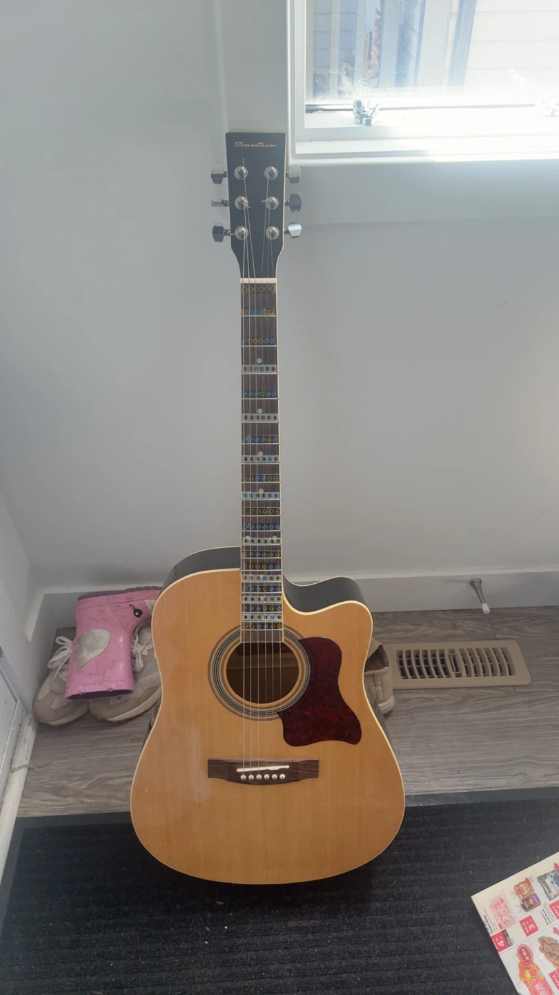 Spectrum electric Acoustic Guitar with Gig Bag