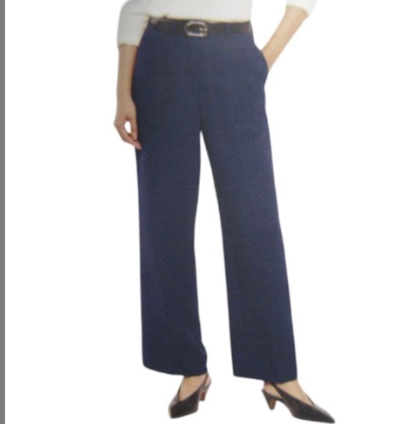 Banana Republic pant 10