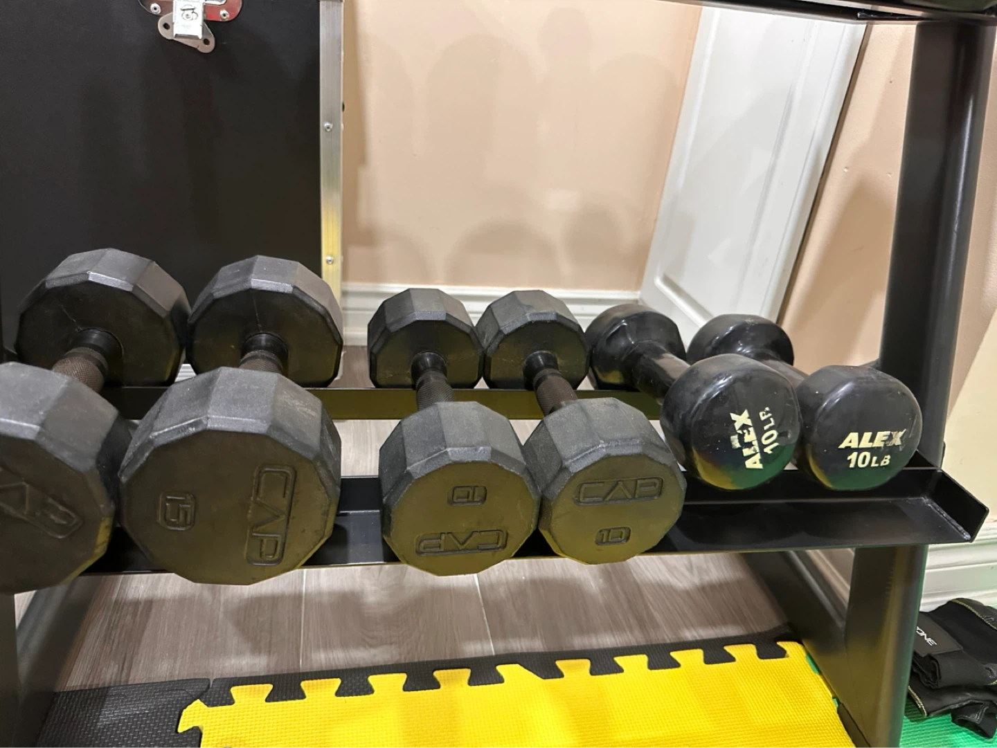 Dumbbells and Rack Set