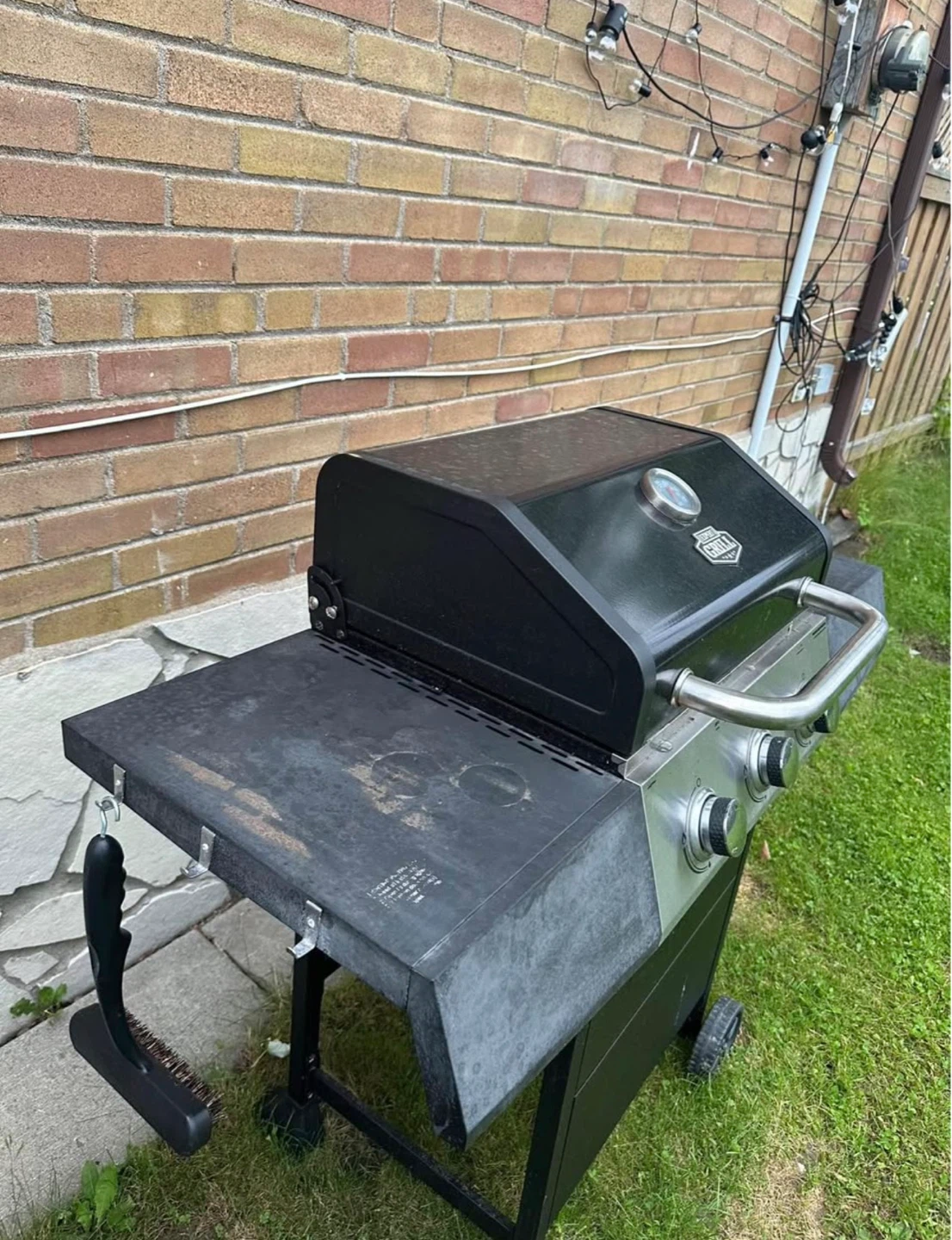 Barbecue - photo 4