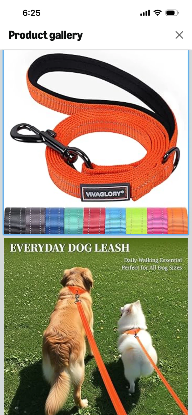 New-VIVAGLORY Orange Dog Leash - 5 ft. x 1/2 in.