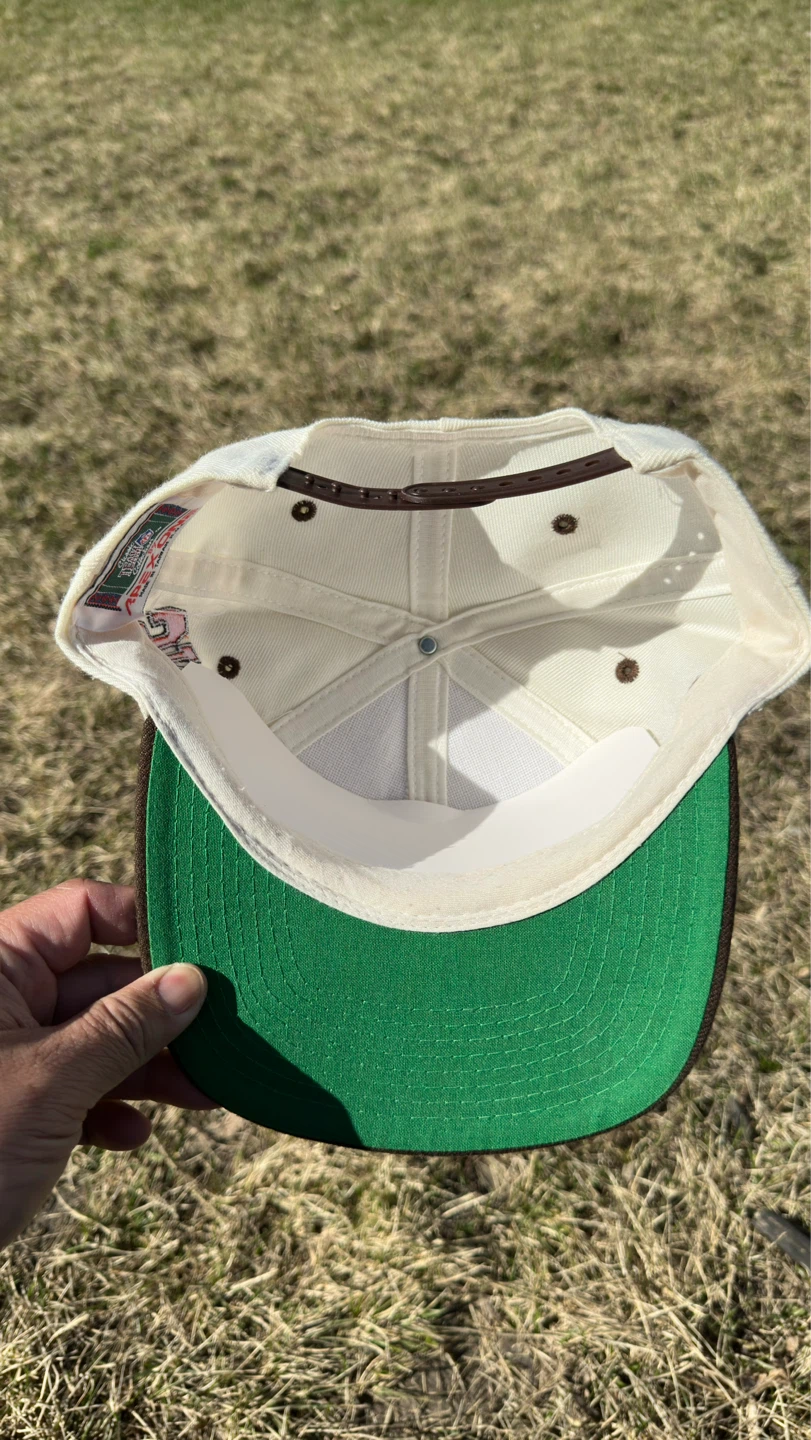 Cleveland Browns Apex Snapback Hat - photo 5