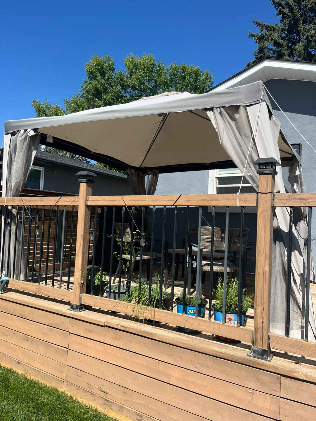 Gazebo with curtains and net screens - photo 2