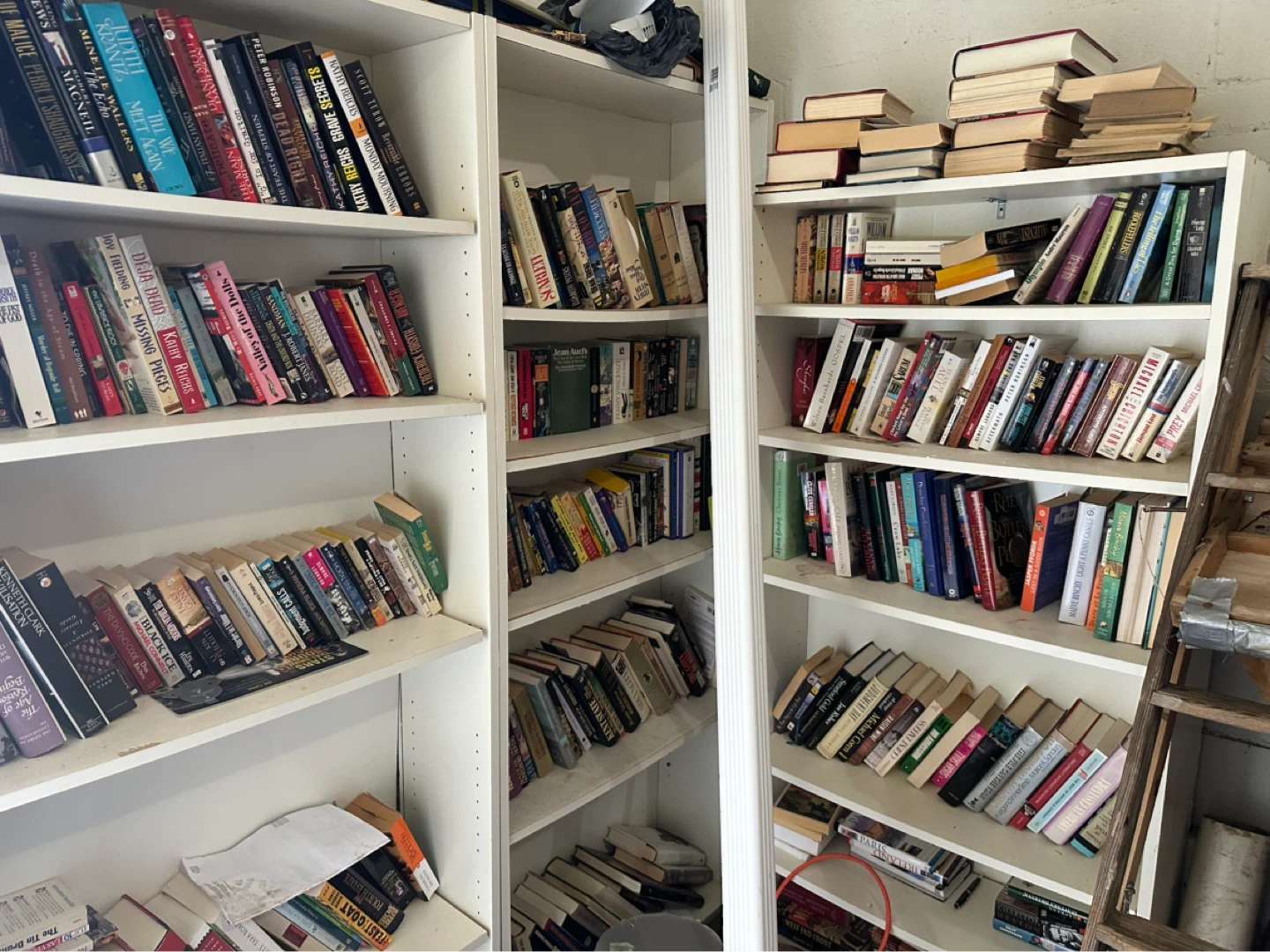 Assorted Books on Shelves