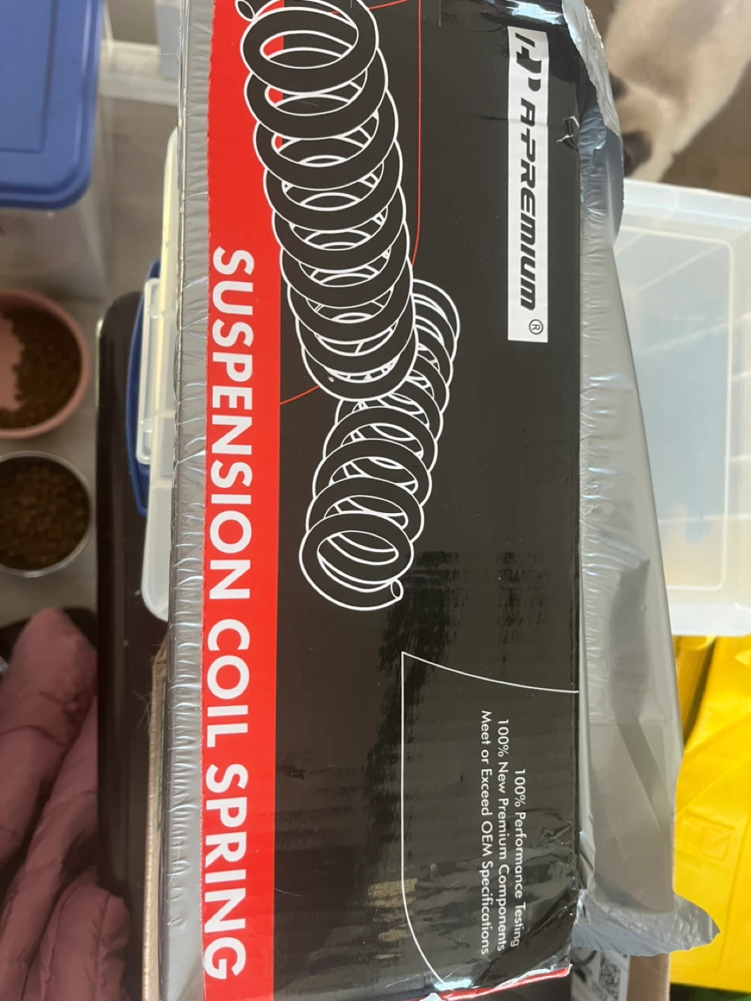 Rear Suspension Coil Spring - New