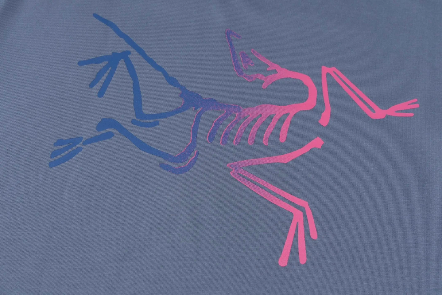 Arc'teryx T-shirt - photo 4
