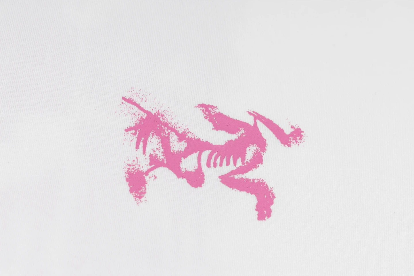 Arc'teryx T-shirt - photo 5