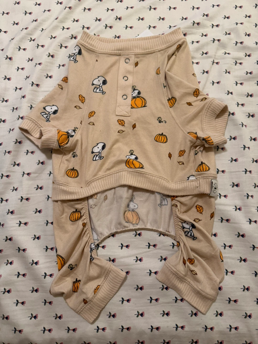 American Eagle Snoopy Dog Onesie