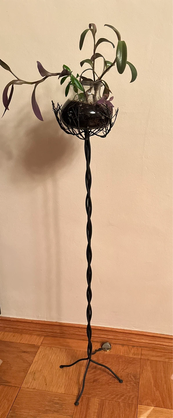 Glass Plant Terrarium with 40’ toll Black Metal Stand