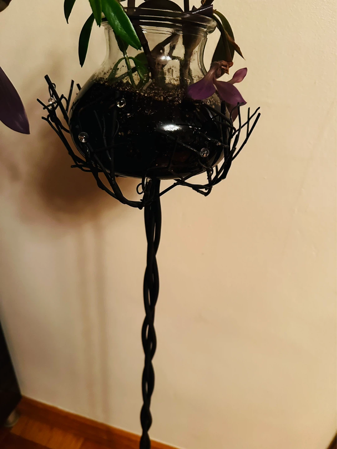 Glass Plant Terrarium with 40’ toll Black Metal Stand - photo 5