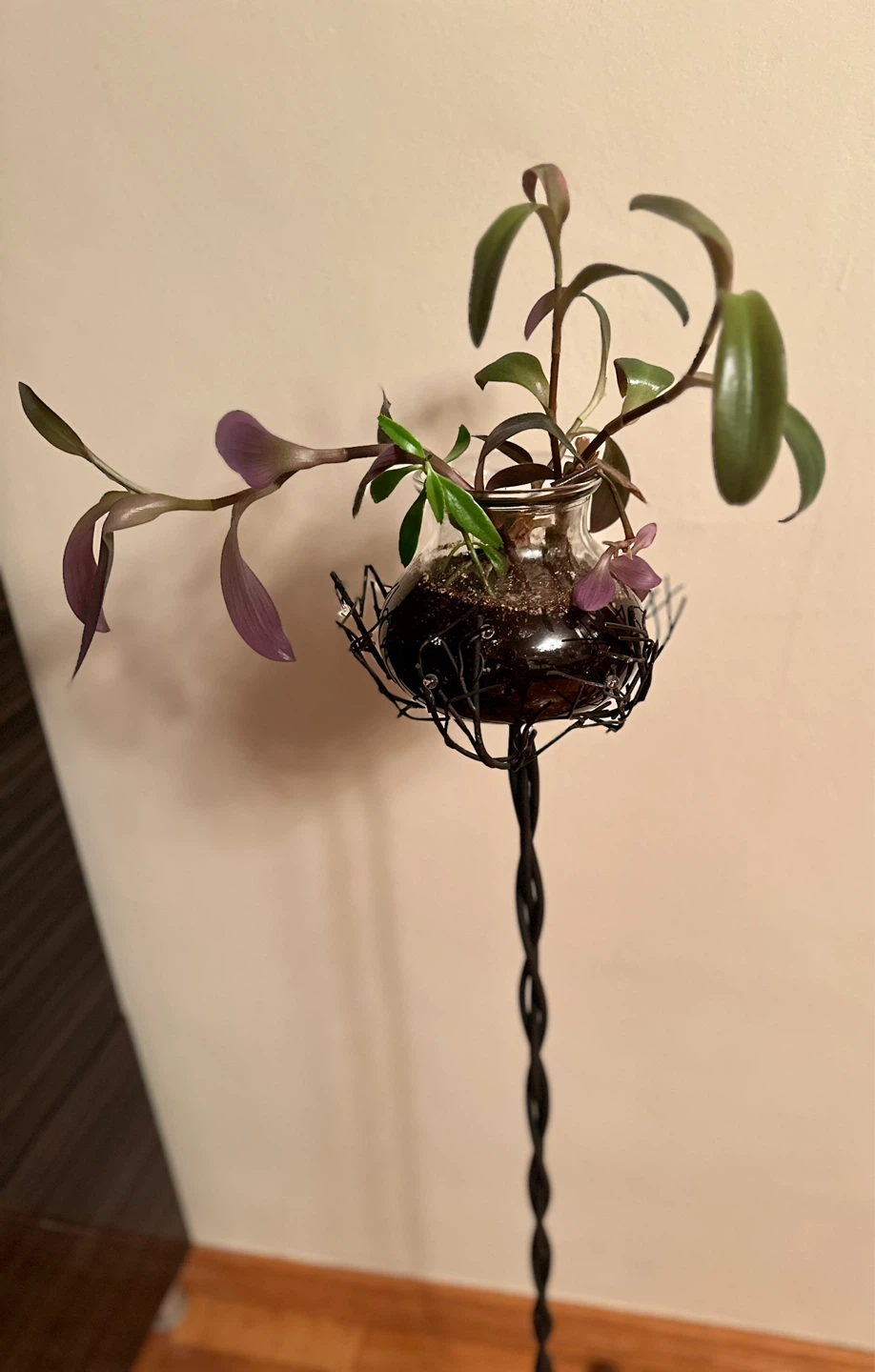 Glass Plant Terrarium with 40’ toll Black Metal Stand - photo 2