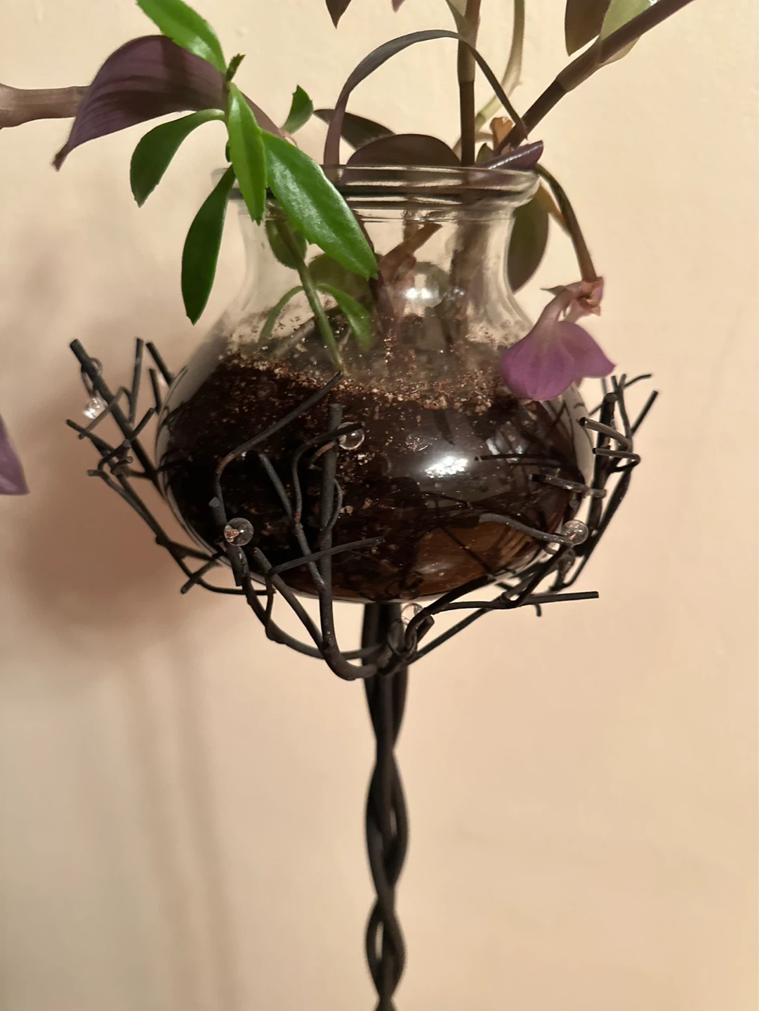 Glass Plant Terrarium with 40’ toll Black Metal Stand - photo 3