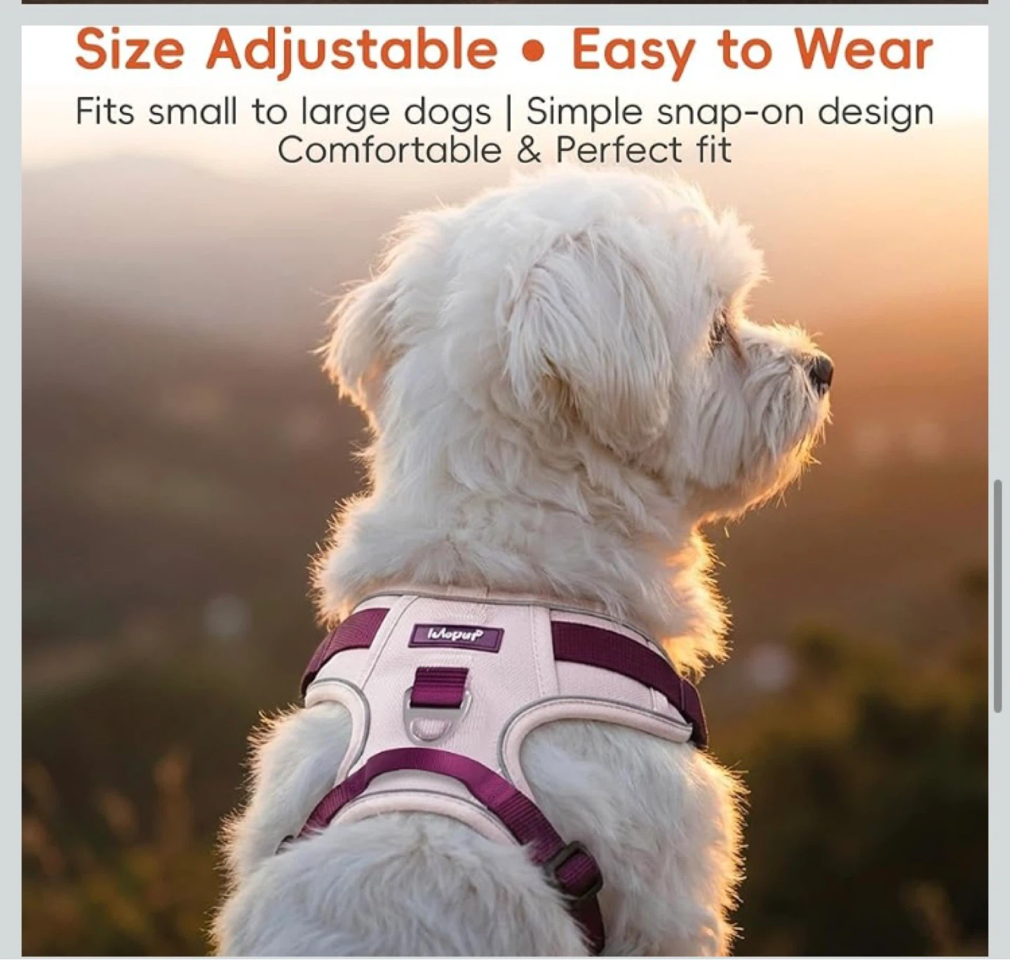 Lulupet Pink Dog Harness Leash Collar Set - Small/Medium - photo 3