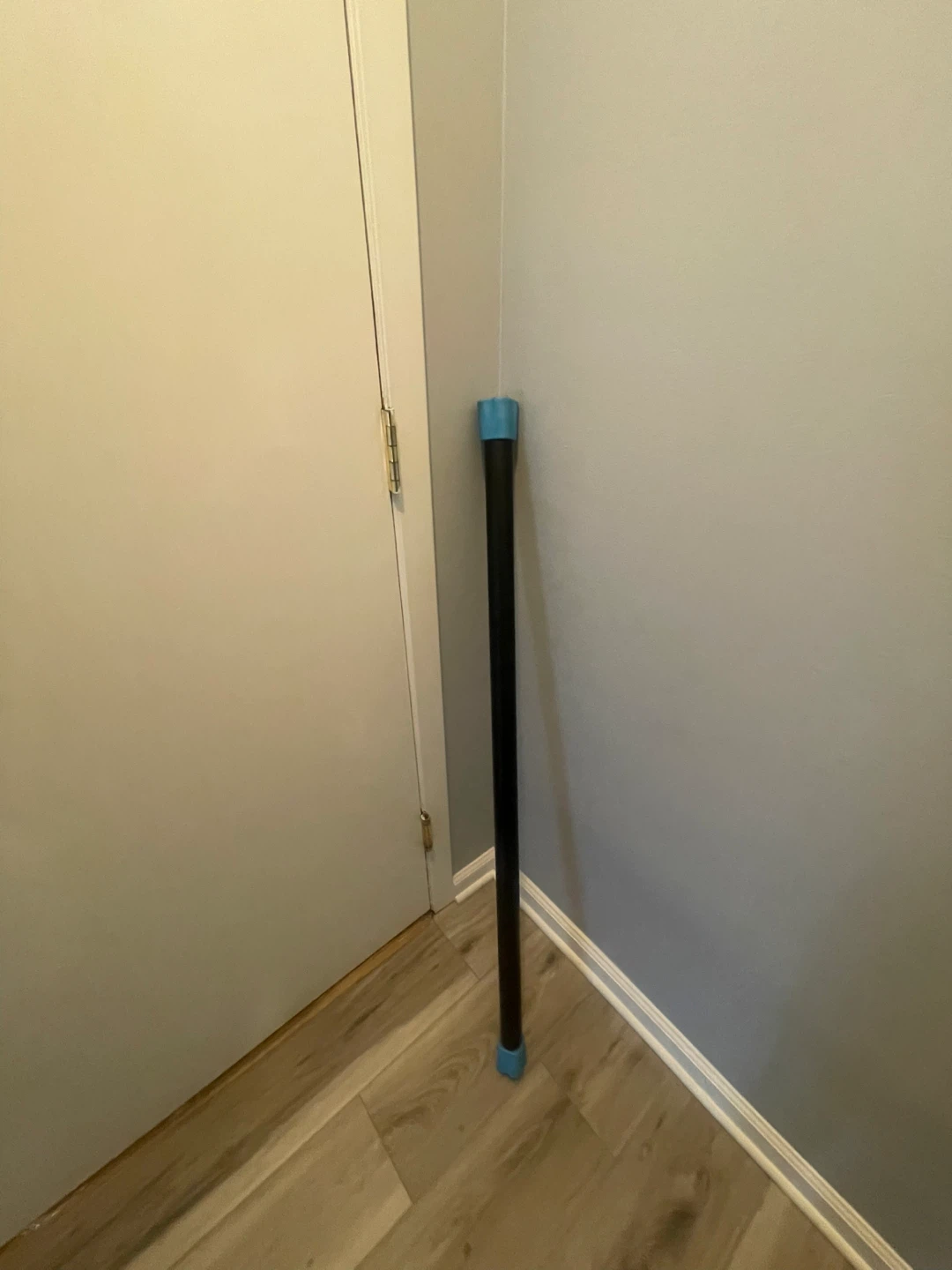 Black Exercise Stick with Blue Caps