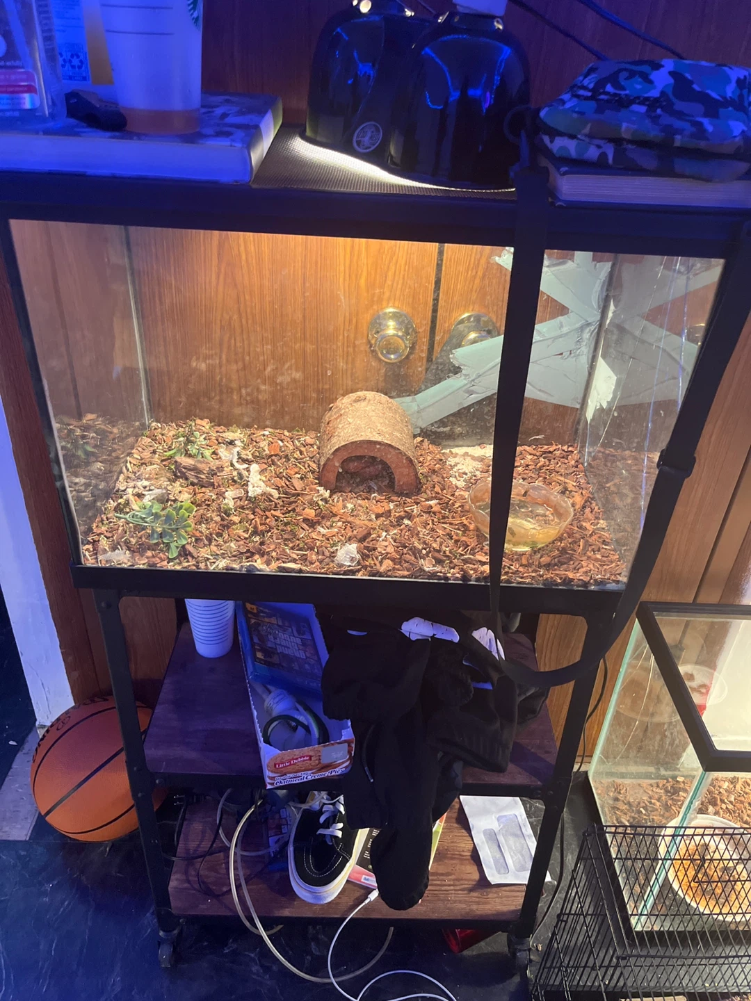 Glass Terrarium with Accessories