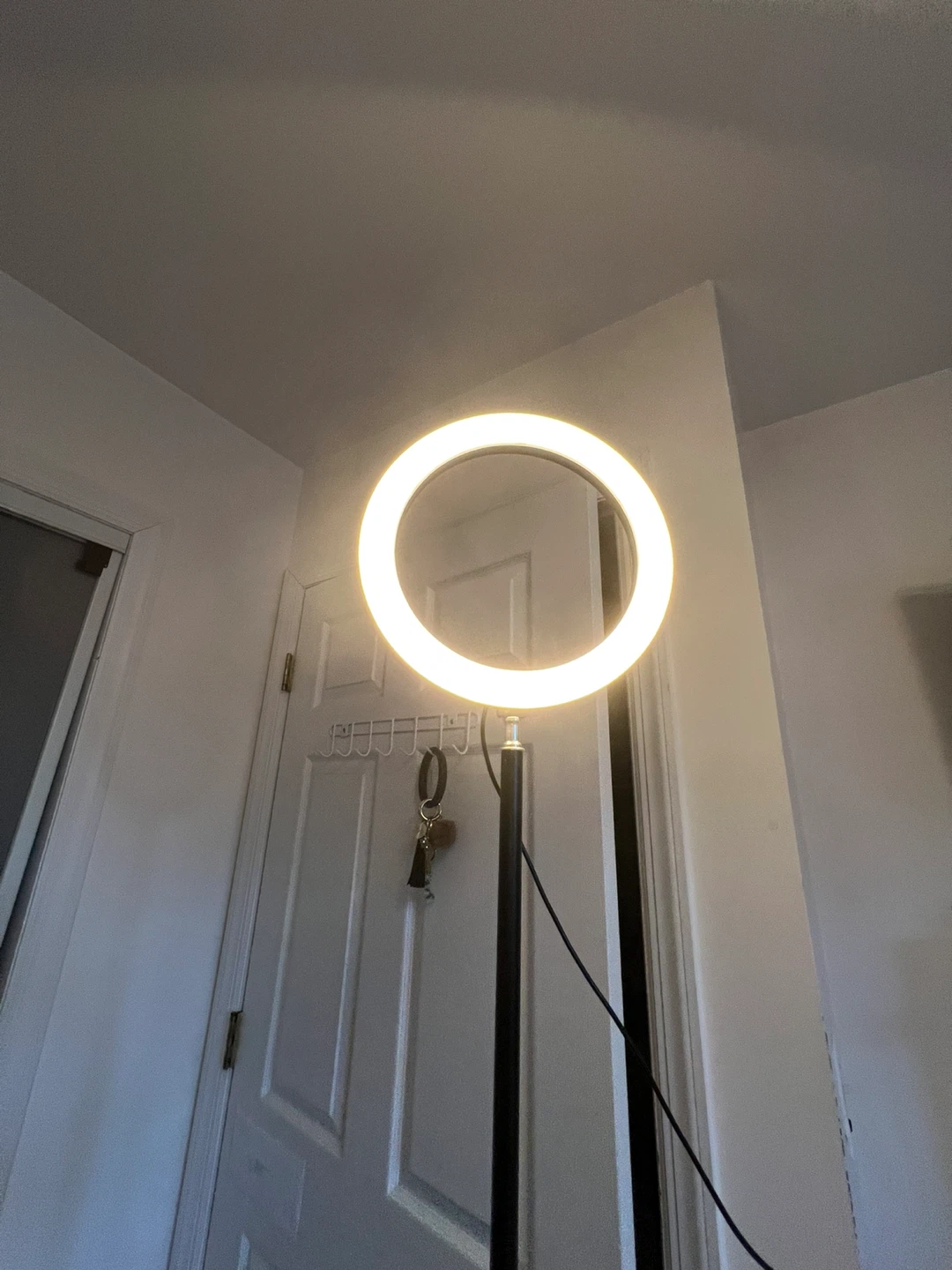 10-inch LED Ring Light with Stand and Remote - photo 3