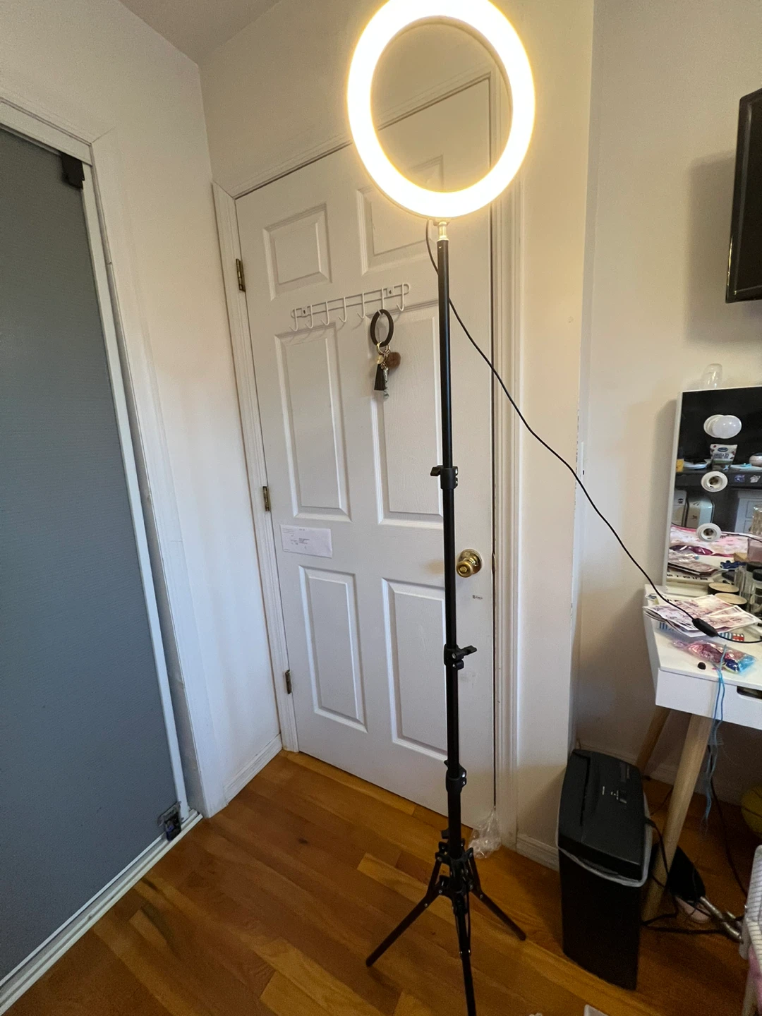 10-inch LED Ring Light with Stand and Remote - photo 4