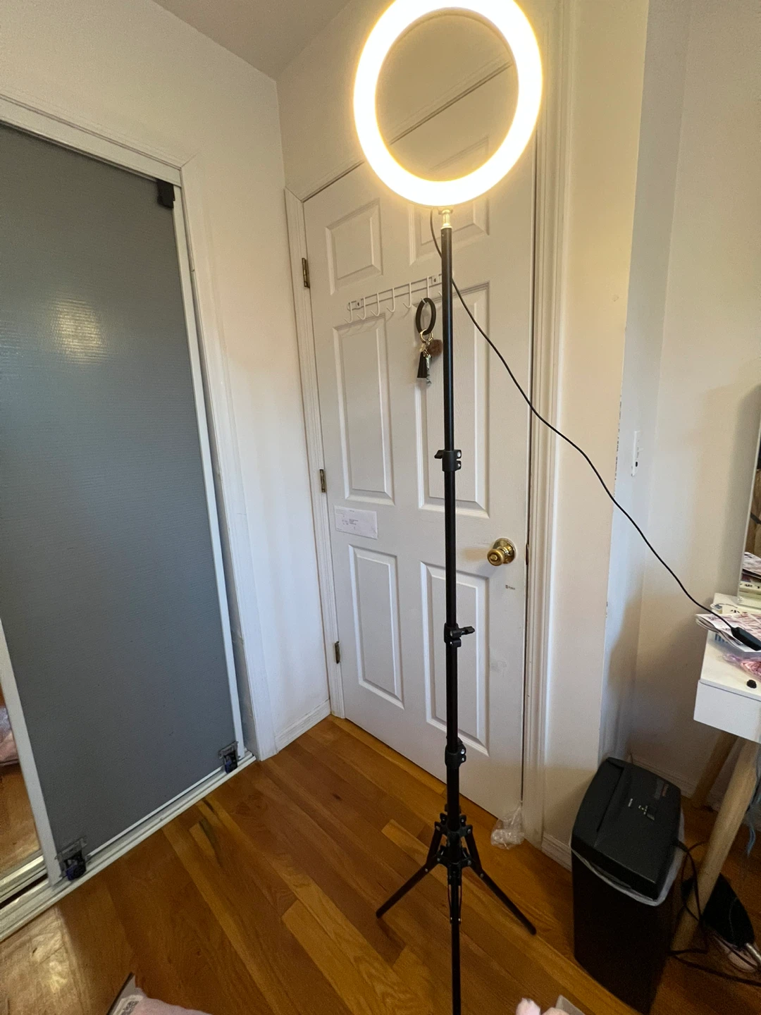 10-inch LED Ring Light with Stand and Remote - photo 5