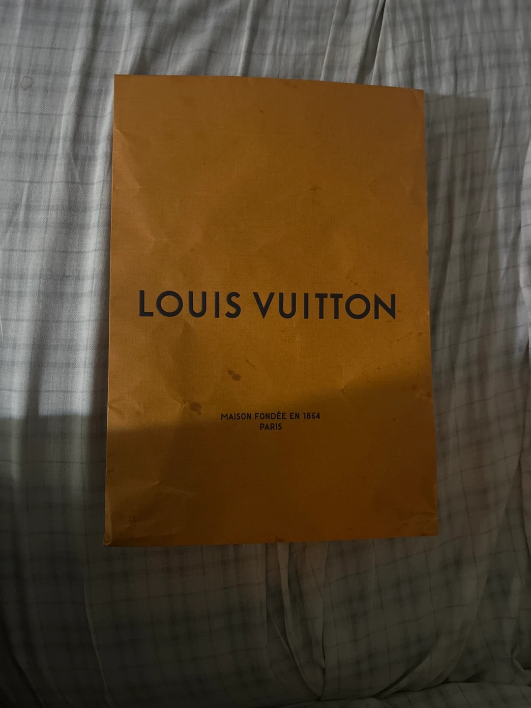 Louis Vuitton Bag