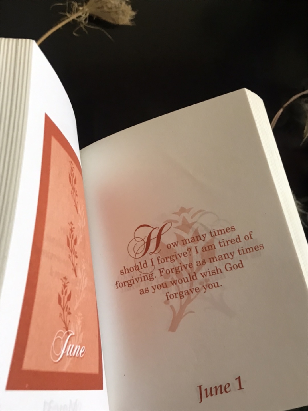 Daily Inspiration: A Thought for Every Day of the Year ✨BOOK - photo 3