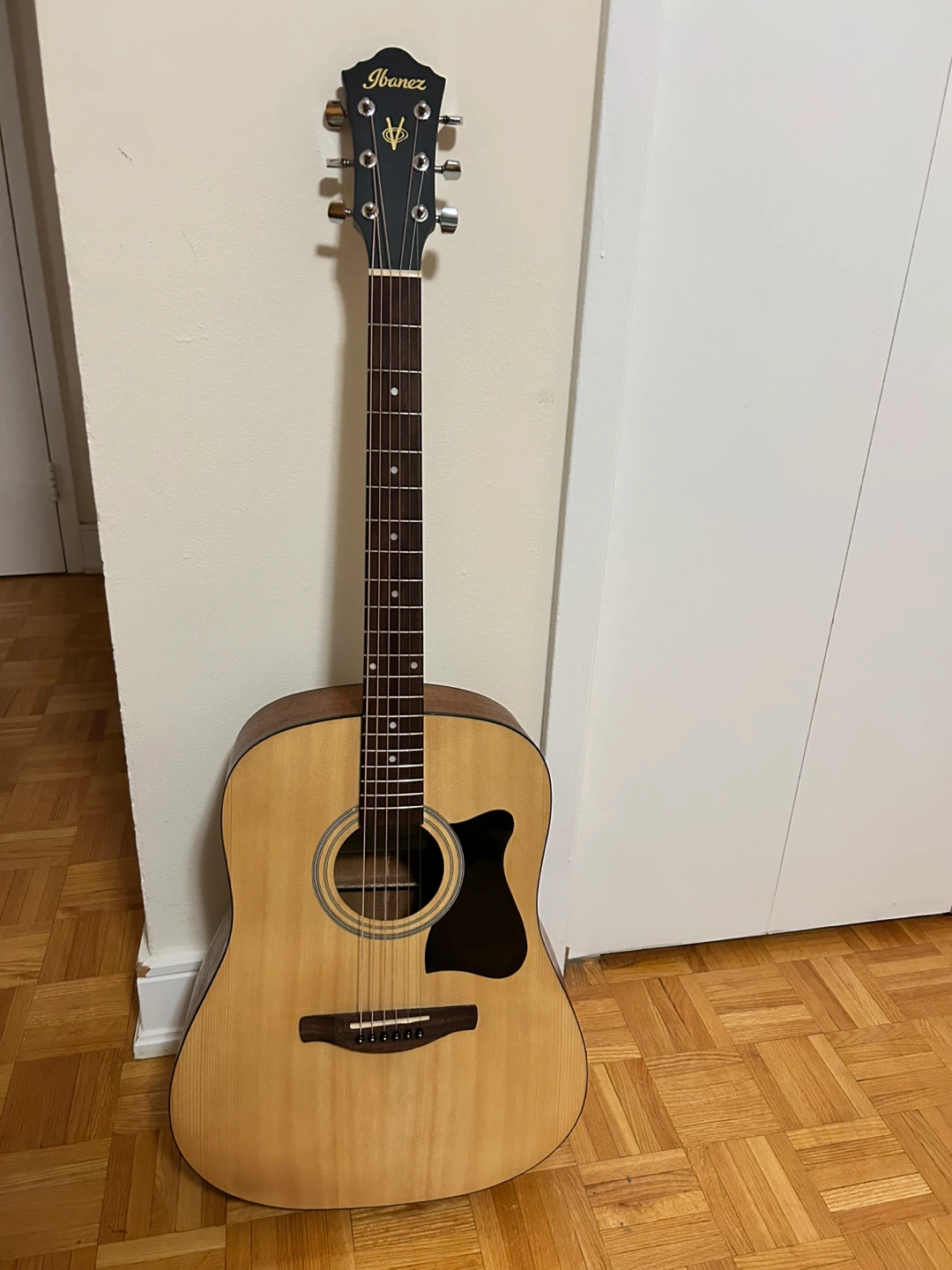 Ibanez Acoustic Guitar with guitar bag