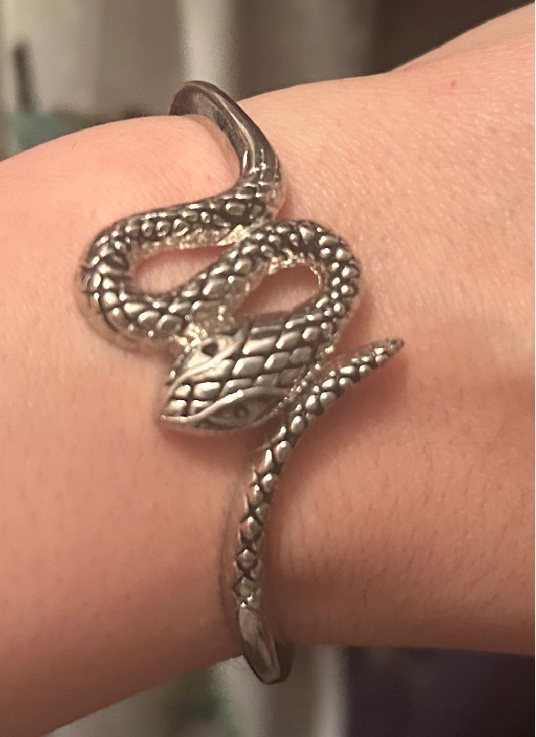Silver Snake Bangle Bracelet
