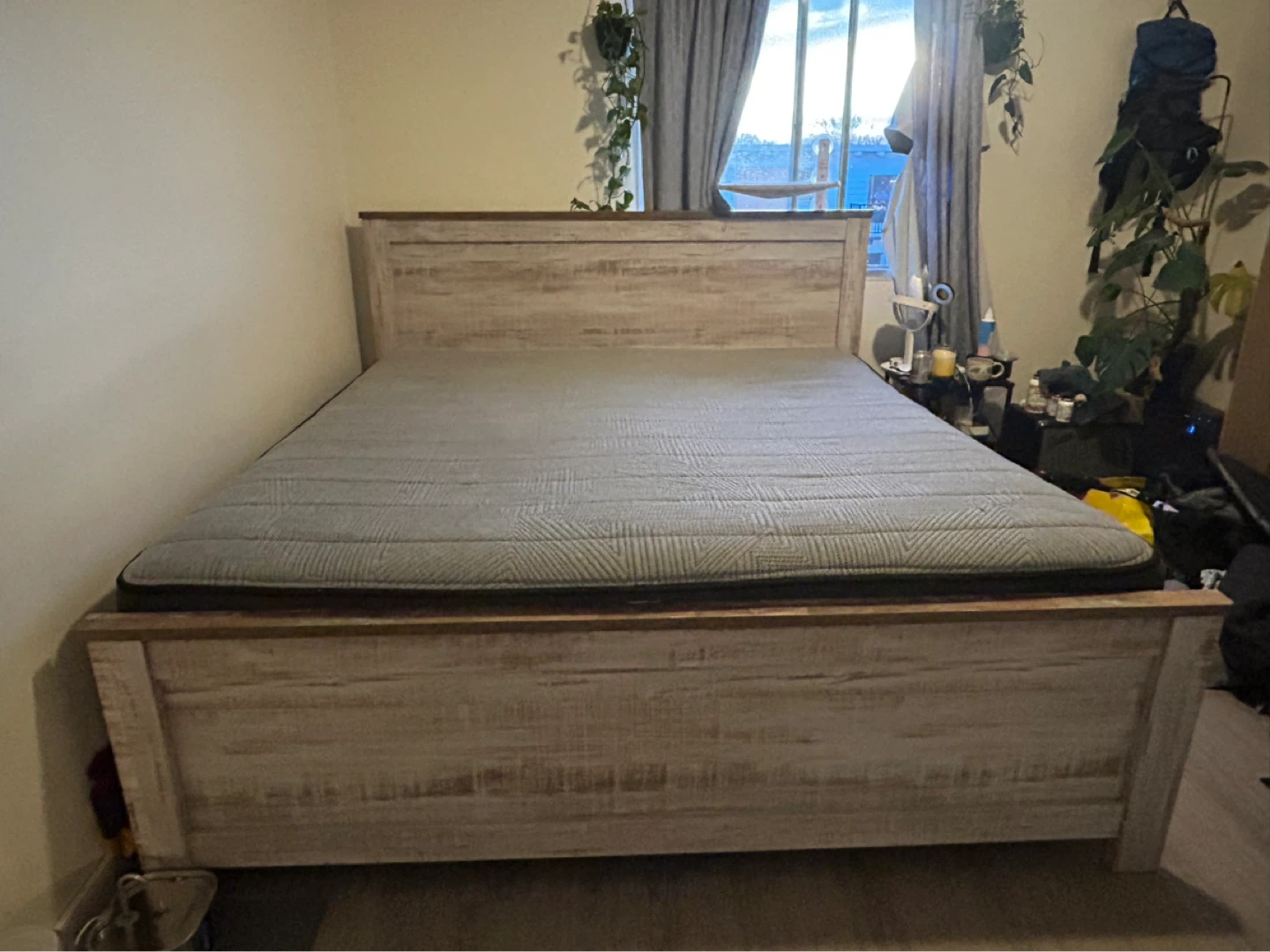 Sealy Essentials King Mattress and Bed Frame - photo 2
