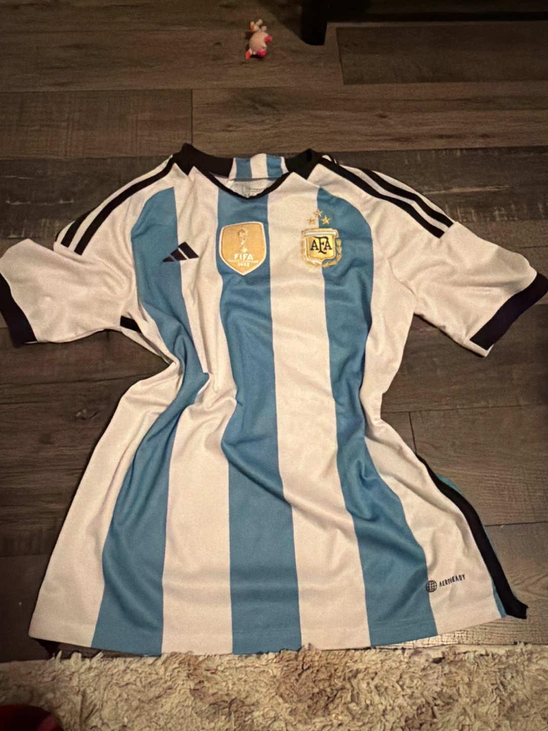 Argentina National Soccer Jersey