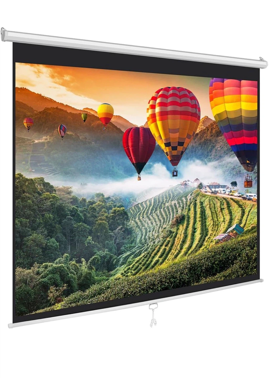 80 Inch Manual Pull Down Projector Screen White