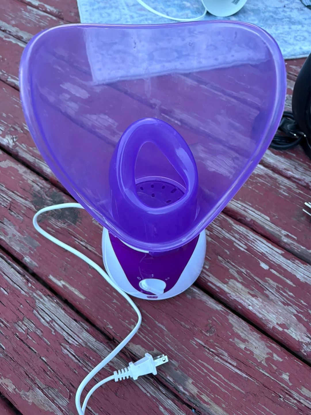 Purple Facial Steamer