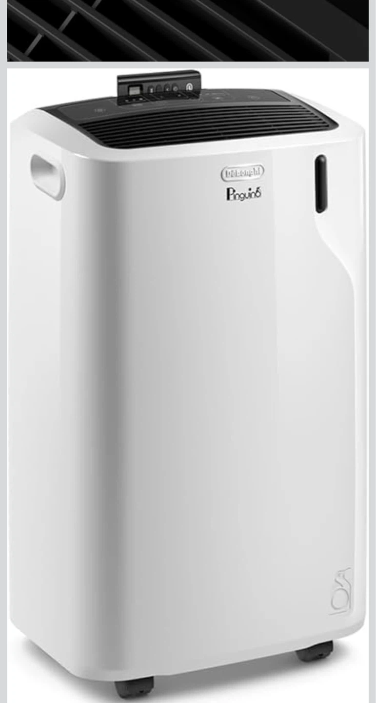 DeLonghi Pinguino Portable Air Conditioner