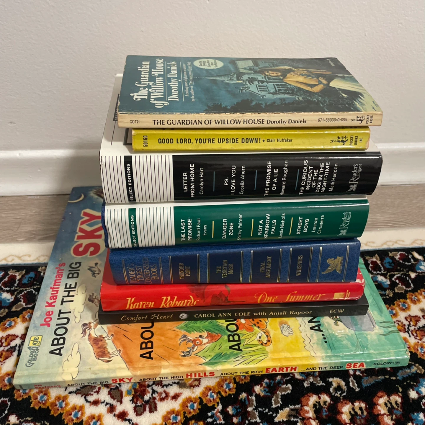 Big Boxes of Books - photo 4