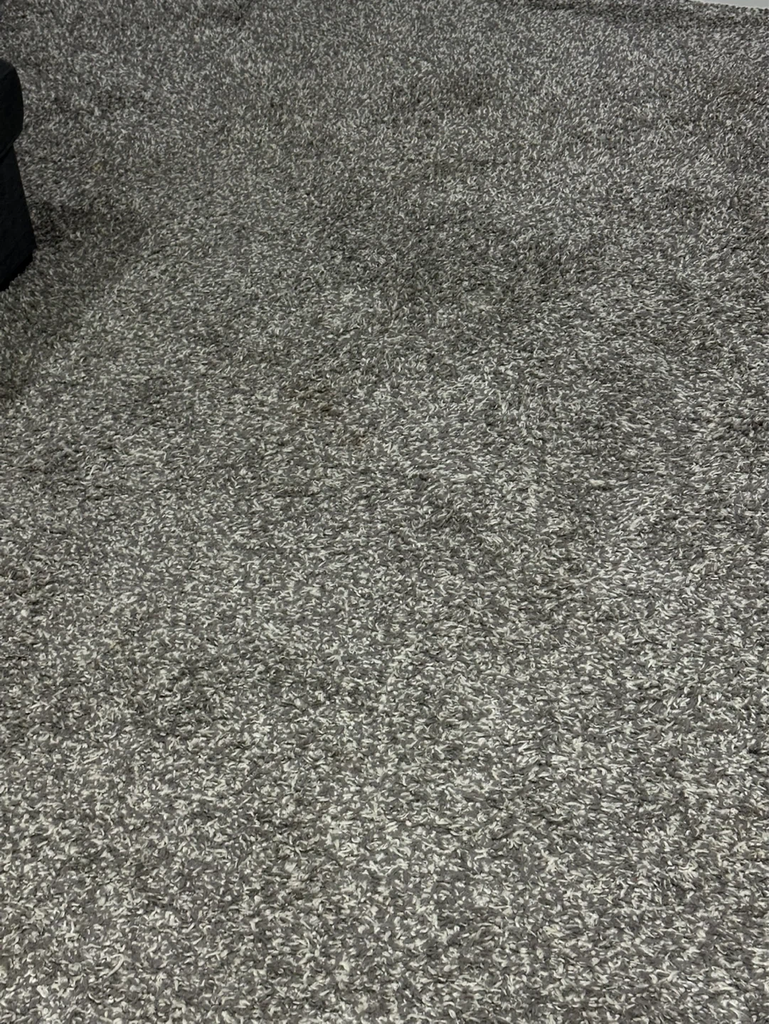 Grey Shag Area Rug