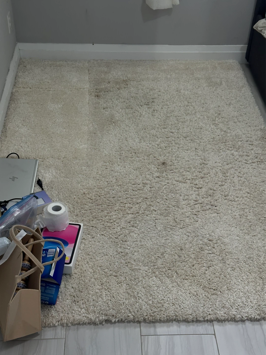 Cream Shaggy Area Rug