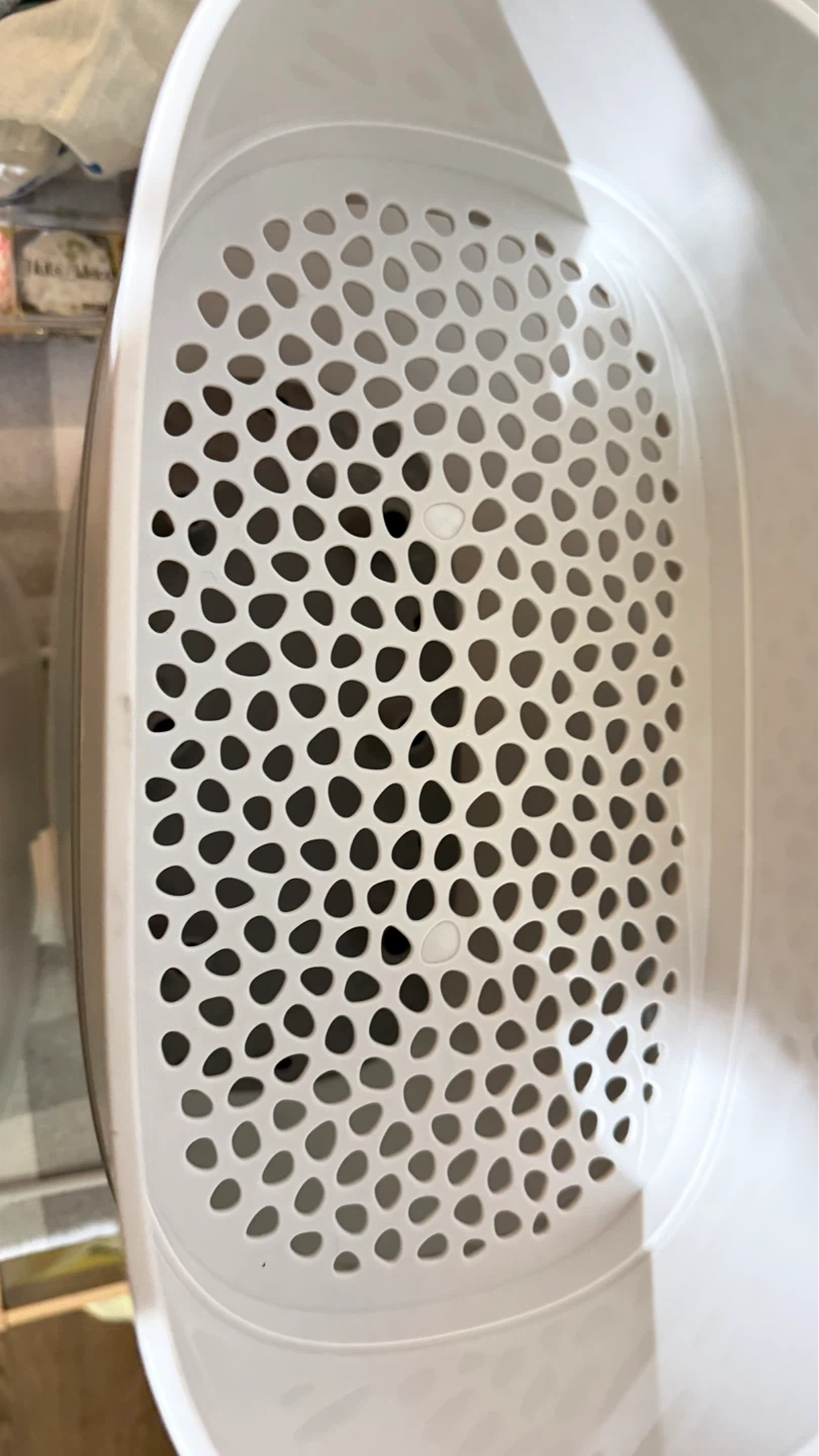 Moving sale Sterilizer