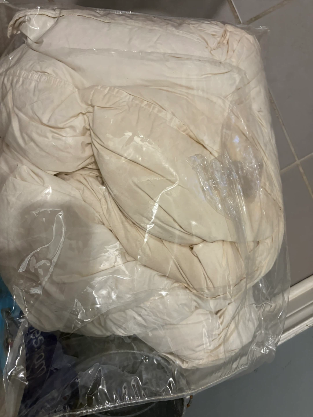 Down Comforter/Duvet Insert