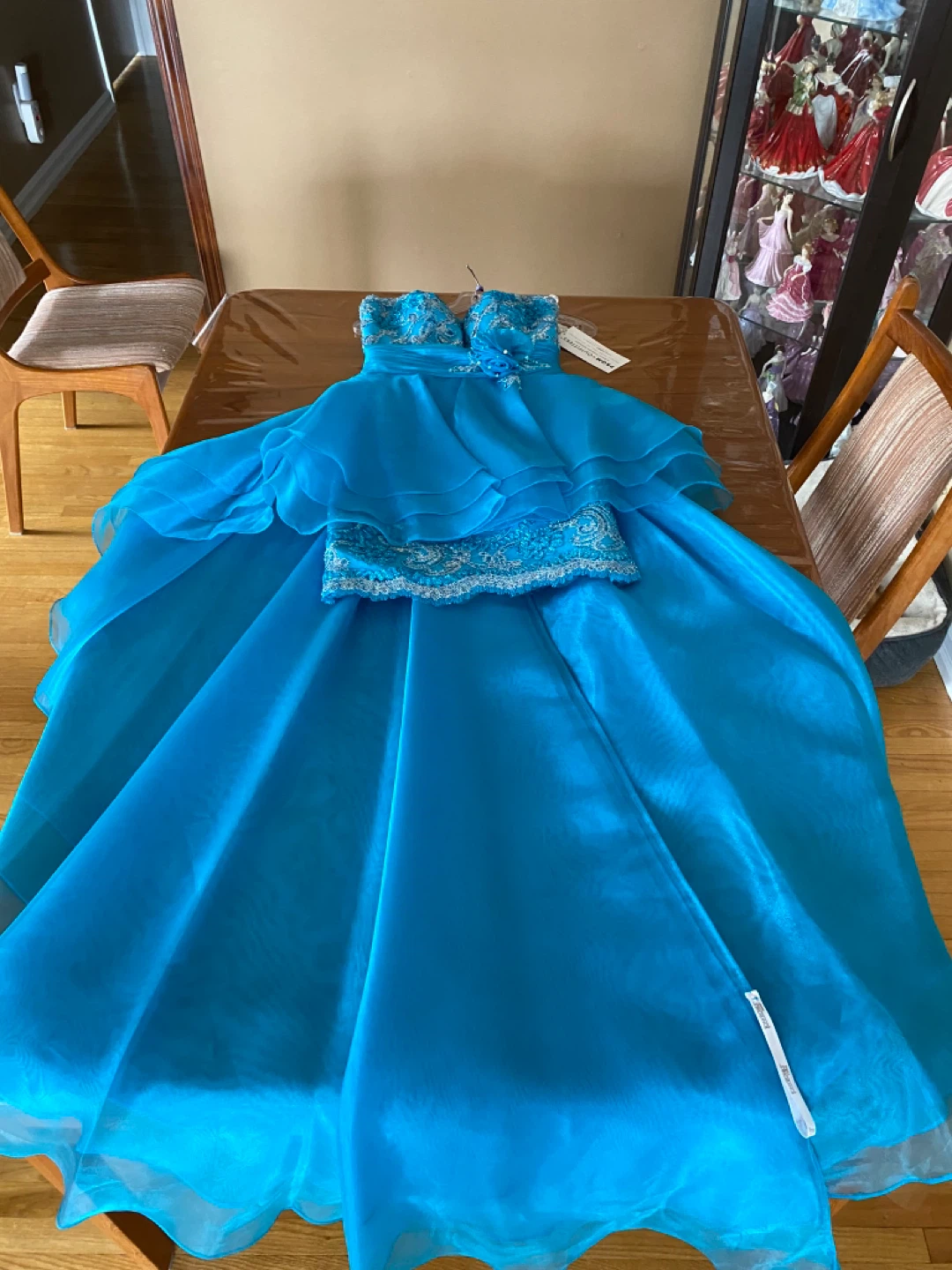 Tony Bowls Paris Designer Dress