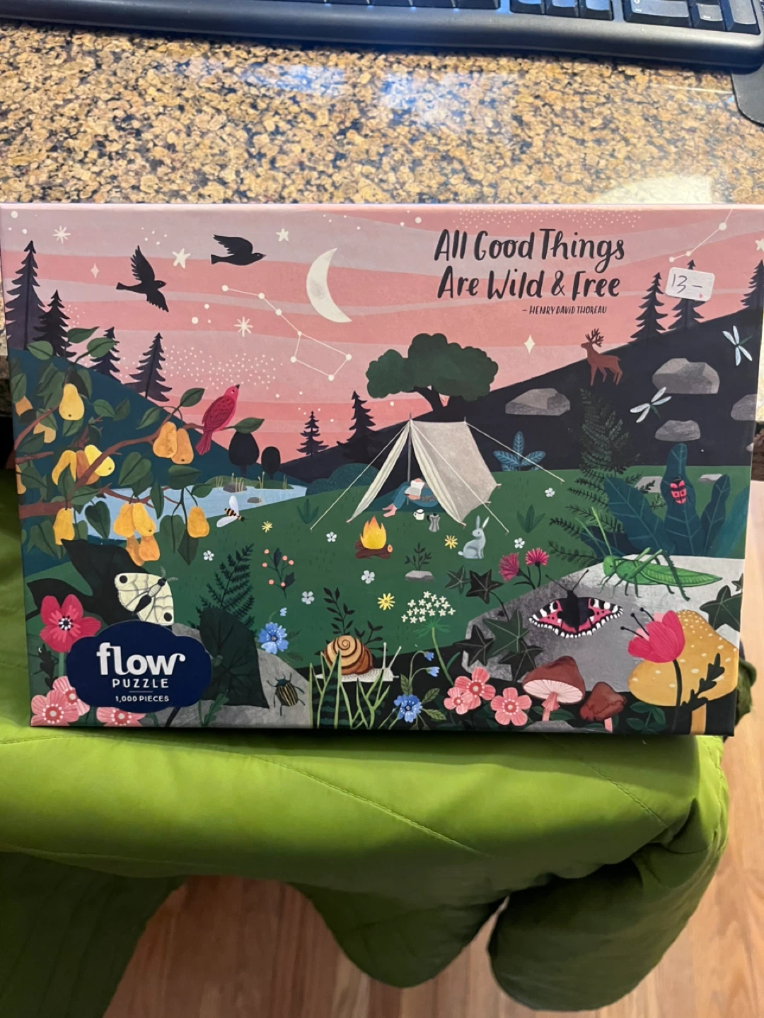 Flow Jigsaw Puzzle 1000 Pieces - All Good Things Are Wild & Free