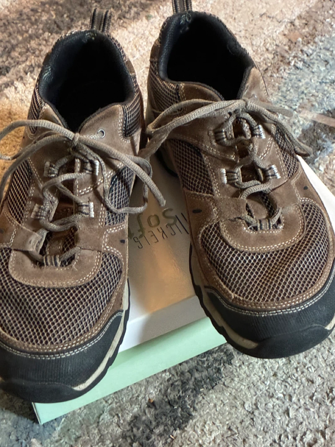 L L Bean men’s hiking shoes