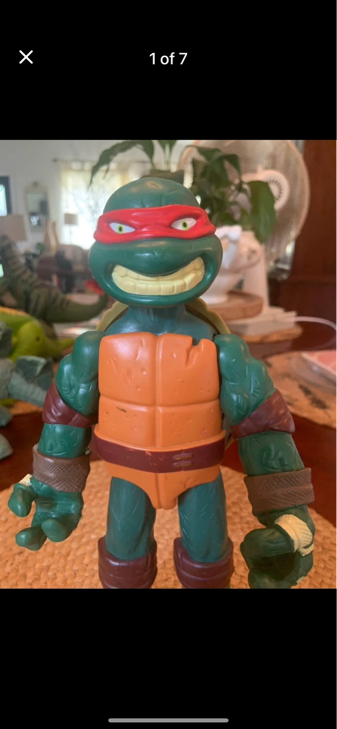 Teenage Mutant Ninja Turtles Action Figure