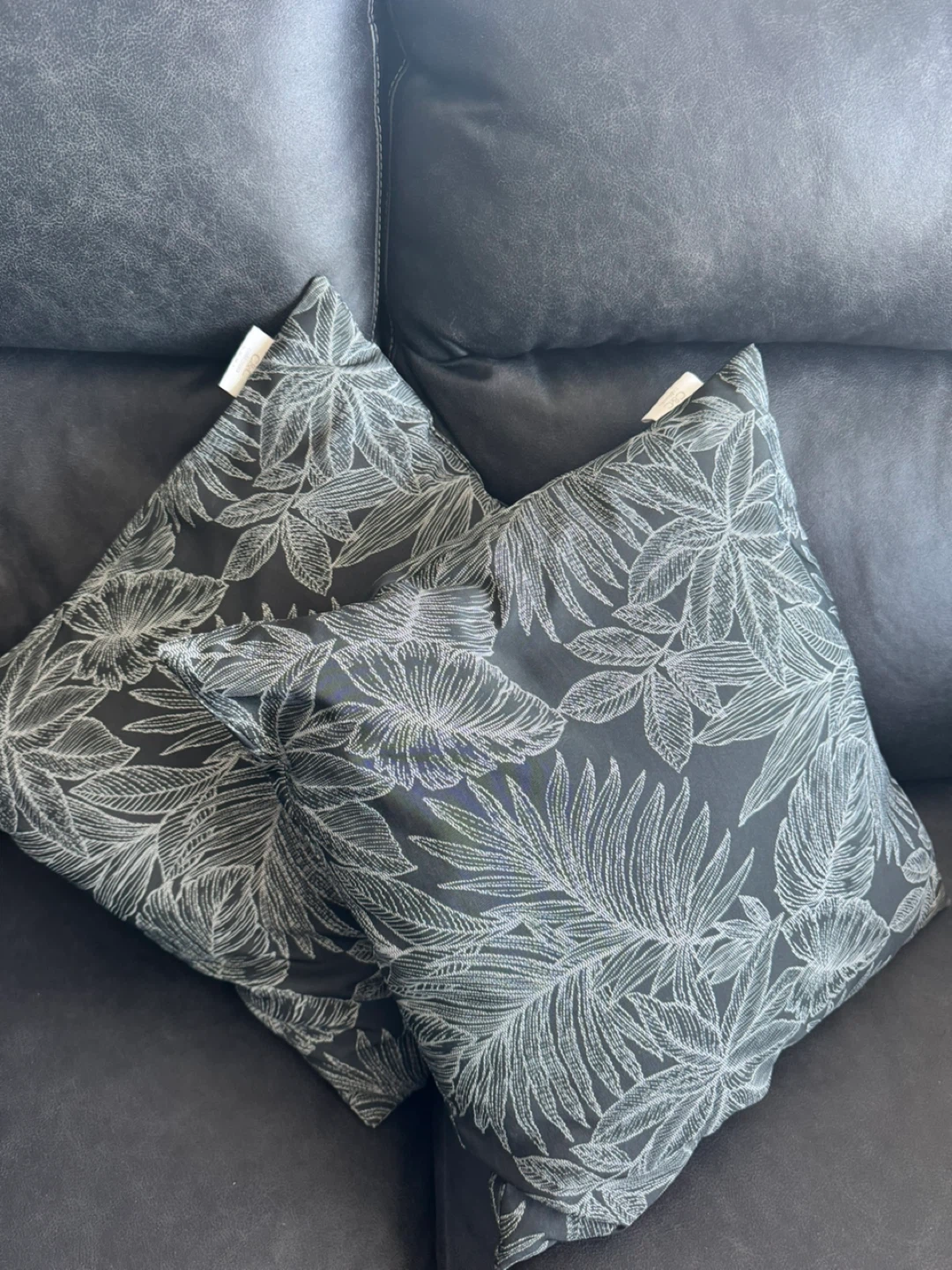 Set of 2 Throw Pillows