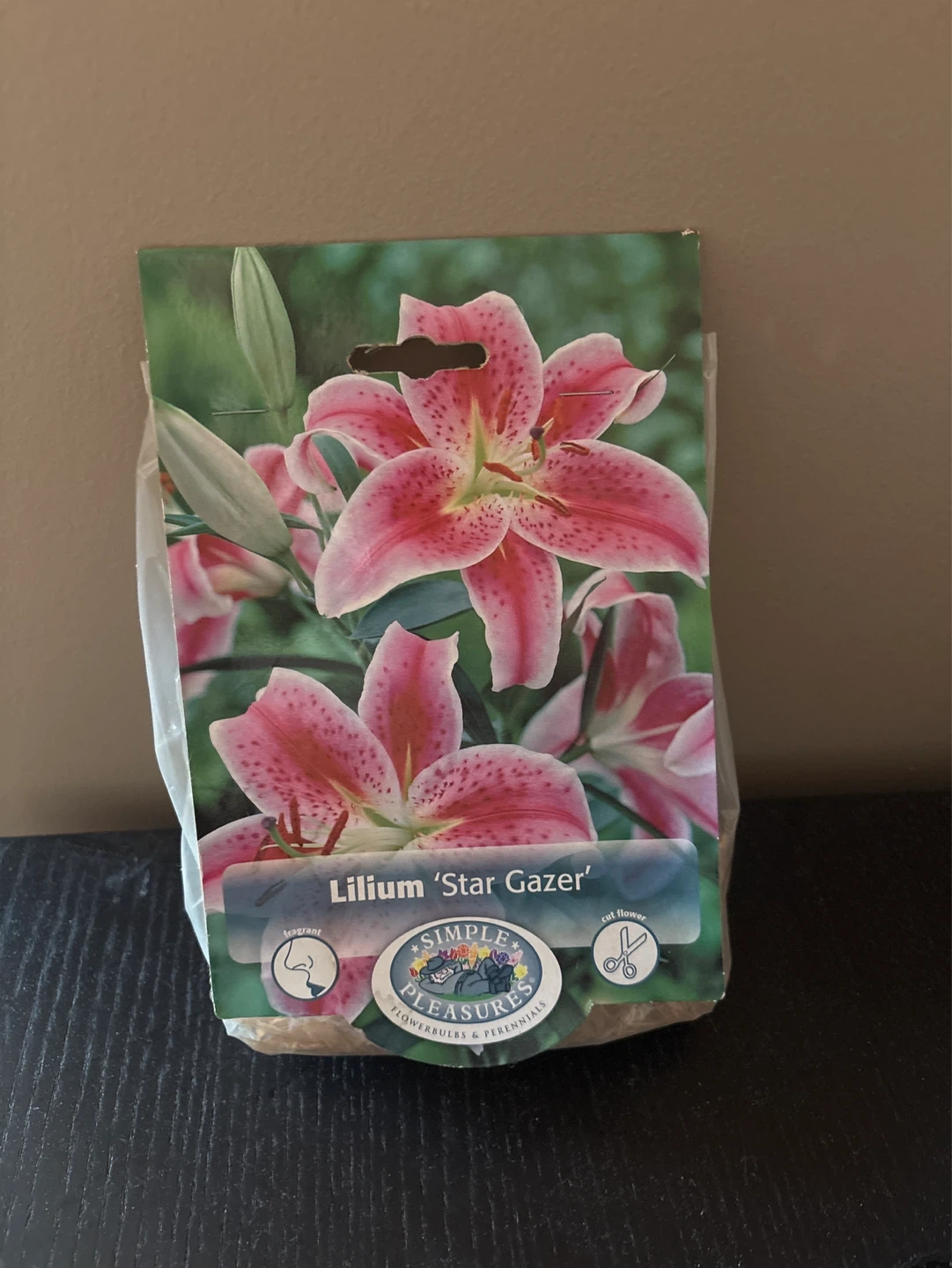 Simple Pleasures Star Gazer Lily Bulbs